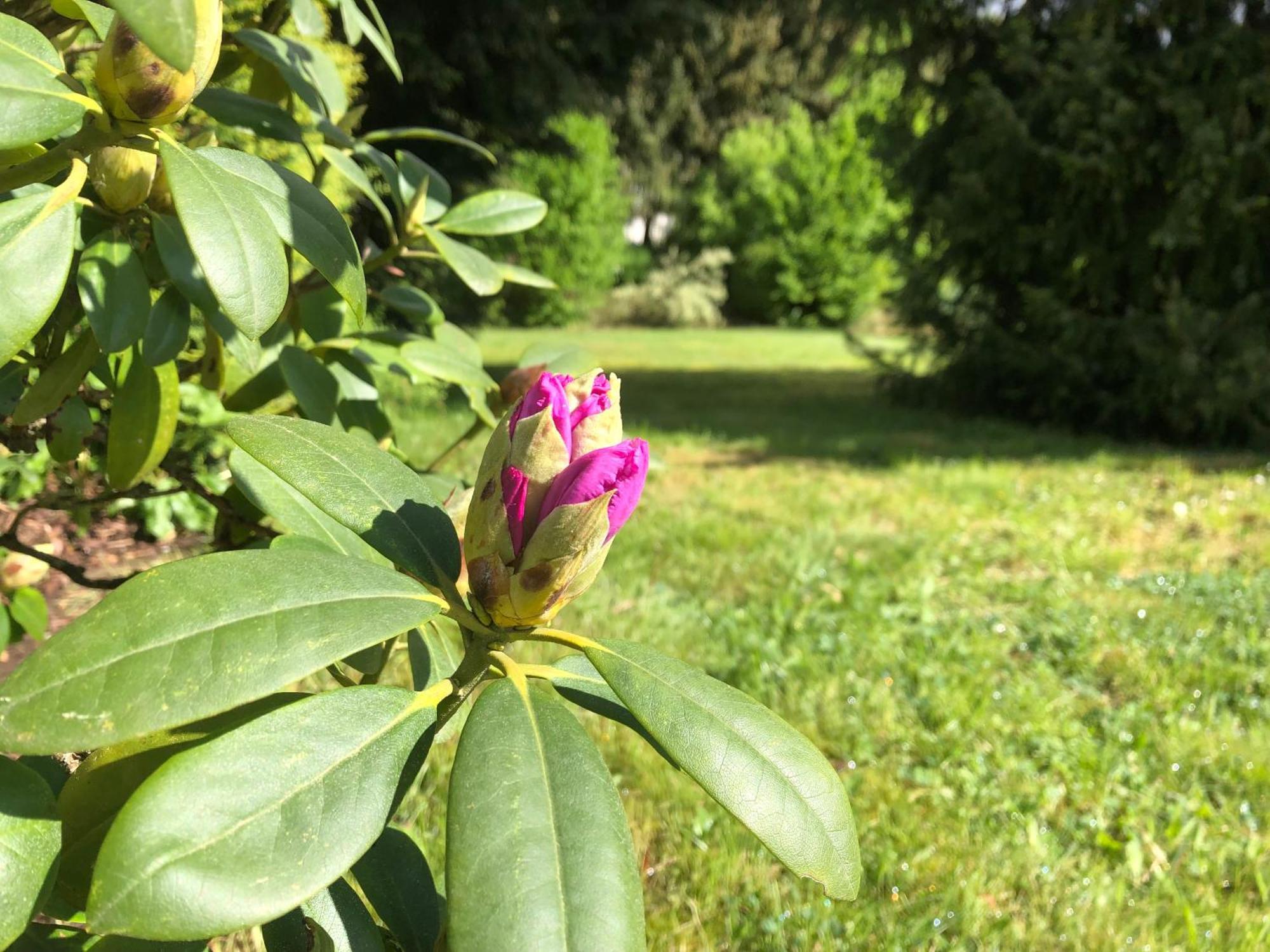 Idas Garten Bad Lauterberg Exterior foto